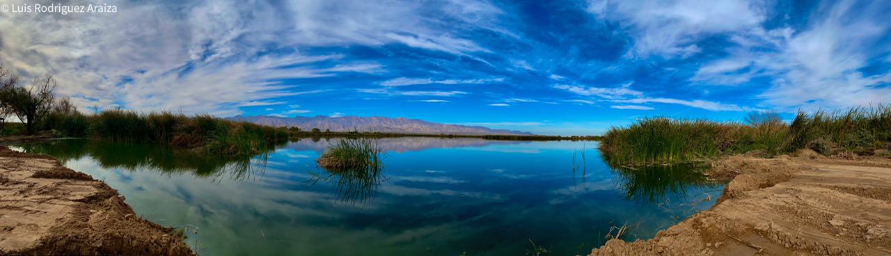 2 DE FEBRERO DÍA MUNDIAL DE LOS HUMEDALES
