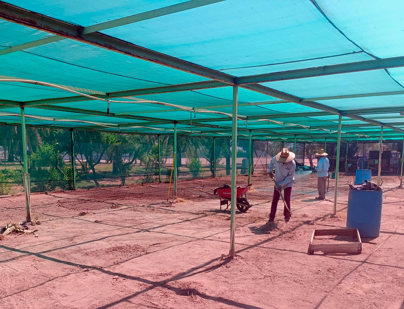 ES LA REACTIVACIÓN DEL VIVERO E INVERNADERO DE CESPM UNA APUESTA POR LA FORESTACIÓN Y LA SUSTENTABILIDAD