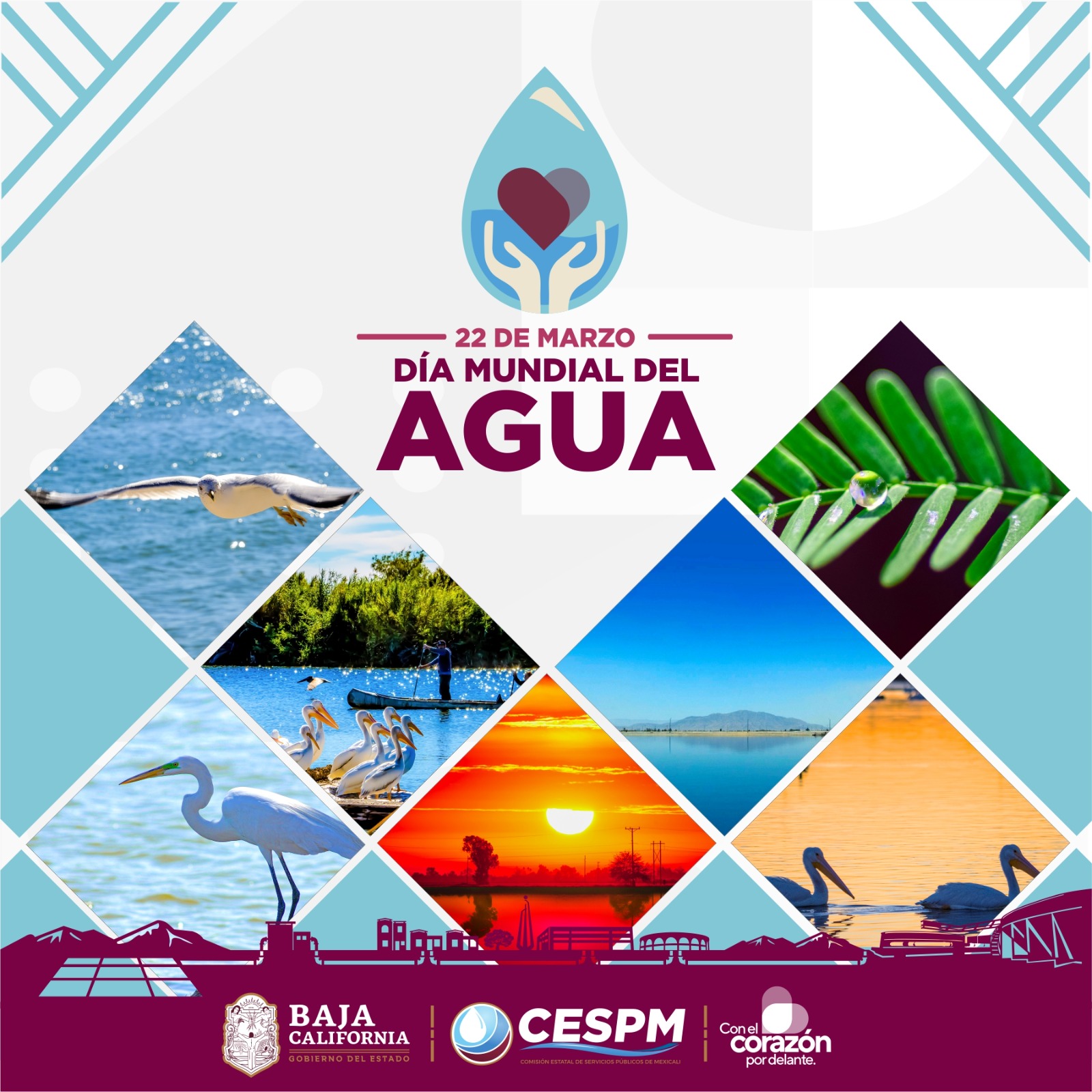 MEXICALI CONMEMORA EL DÍA MUNDIAL DEL AGUA CON UN LLAMADO A LA CONSERVACIÓN 