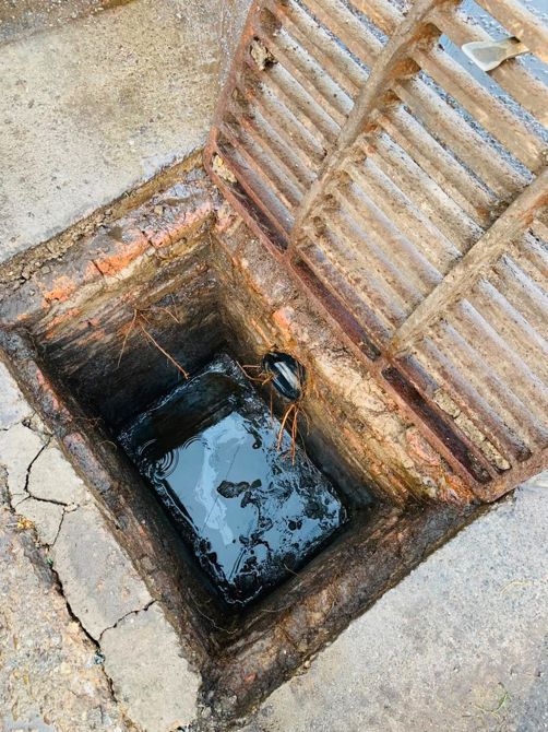 CESPM FORTALECE EL MANTENIMIENTO PREVENTIVO DE LAS REDES SANITARIAS Y PLUVIALES EN MEXICALI Y EL VALLE